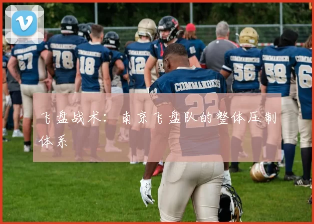 飞盘战术：南京飞盘队的整体压制体系