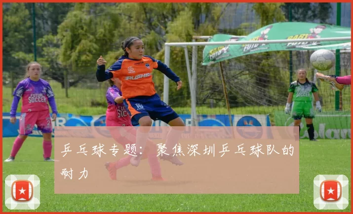 乒乓球专题：聚焦深圳乒乓球队的耐力